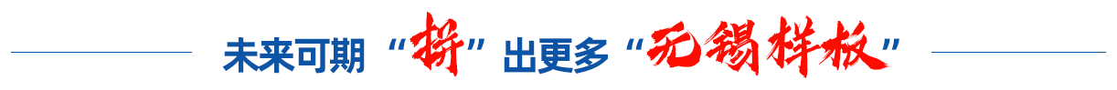 未來(lái)可期 “拼”出更多“無(wú)錫樣板”